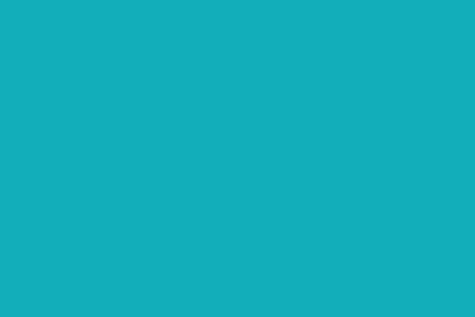 4_Prizma_Logo_b