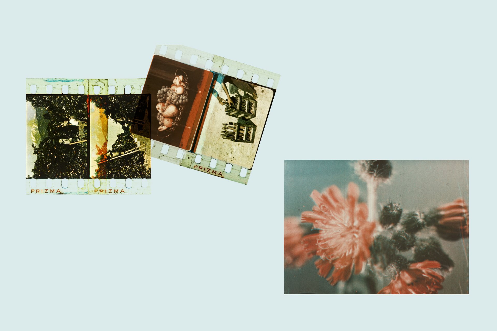 3_Prizma_inspiration