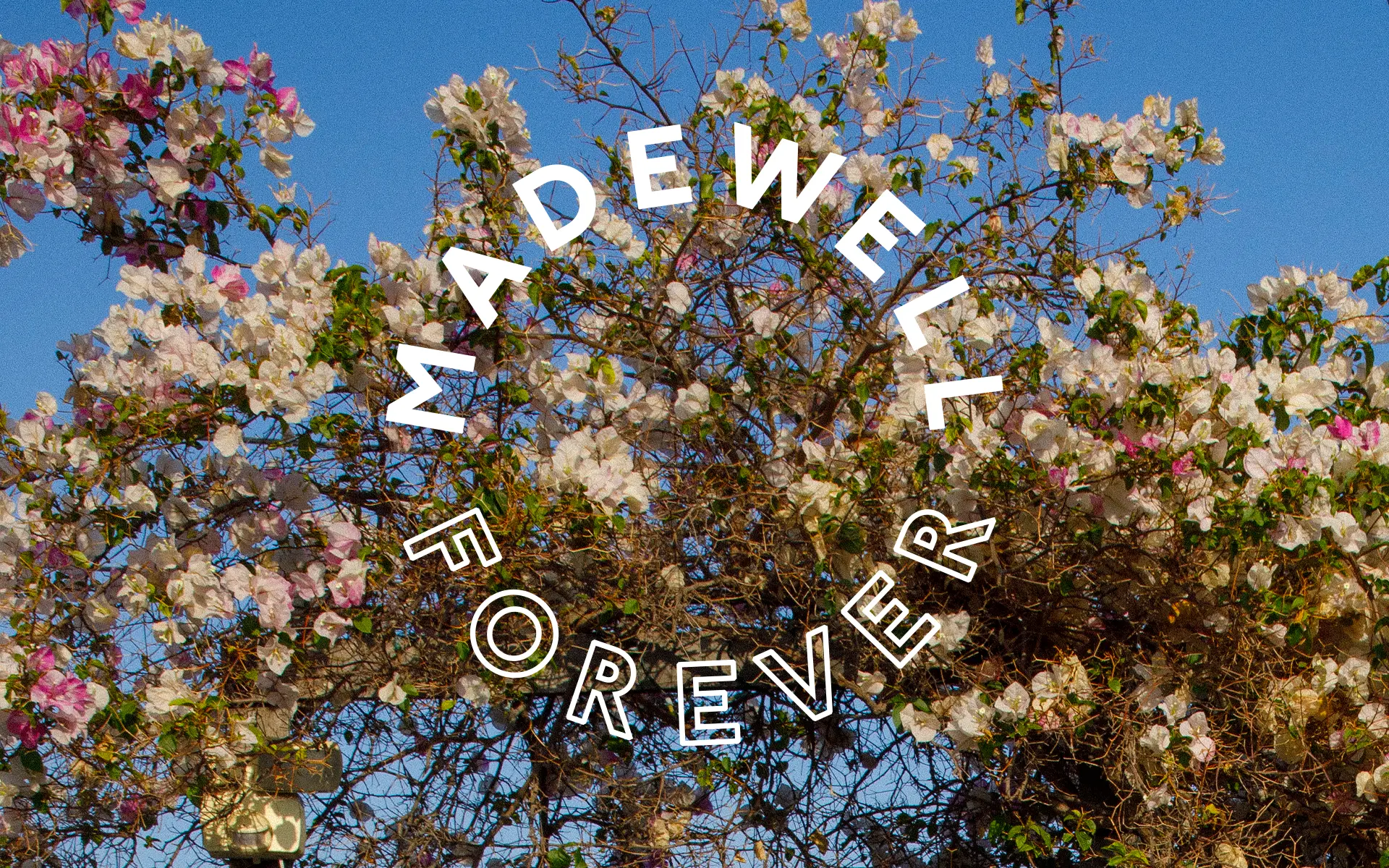 A new identity for pre-loved clothing